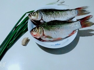1、香浓鲫鱼汤,主用食材，