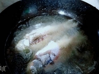 5、香浓鲫鱼汤,加入清水大火烧开