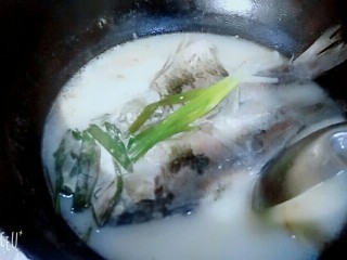 10、香浓鲫鱼汤,汤熬制浓白就可以出锅了