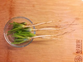 3、感冒发烧有它不愁—香菜萝卜姜糖水,洗净后沥干水分备用。