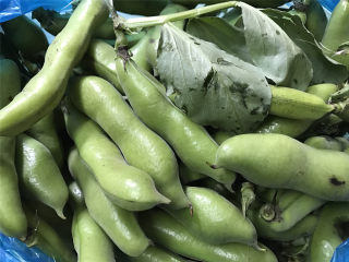 1、清炒蚕豆,这个就是新鲜采摘下来的蚕豆，还带着叶呢，非常新鲜。