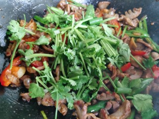 14、辣炒鸡胗,出锅前放入香菜段。