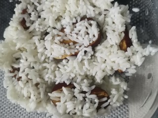5、红枣糯米饭,在铺上提前泡了一夜的糯米