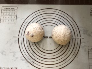 8、蔓越梅花生黑麦软欧包,8、分割成两份，揉圆松驰10分钟。