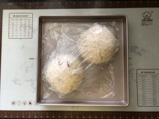 10、蔓越梅花生黑麦软欧包,10、发酵至两倍大。