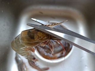 3、白灼大虾,右手拿剪刀剪去虾枪与虾线。