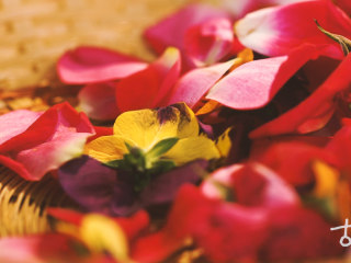 1、【百花糕】花朝节将至，做一份武帝最爱的甜点解馋,鲜花洗净；