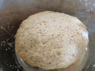 7、红枣馒头,揉成面团，饧面5分钟。