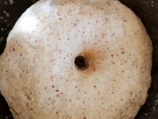 9、红枣馒头,面团成两倍大，手指粘面粉，在面团中间插入，洞不回缩就发酵好了。