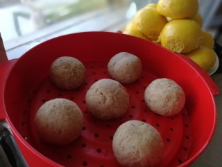 12、红枣馒头,滚圆放在蒸锅里。盖盖饧发5分钟。