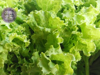 1、凉拌生菜,新鲜生菜去除黄叶、菜茎。