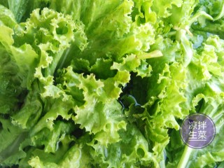 2、凉拌生菜,入水清洗，侵泡十分钟。捞出再用凉白开冲洗2遍。