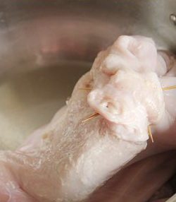 10、胡椒猪肚包鸡,用牙签封住开口。