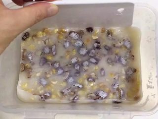 12、红枣核桃糯米糕,如果不好取出，可以用刮板四周刮开。