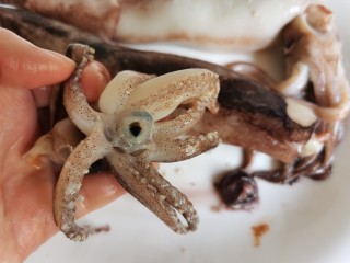 2、鱿鱼炒芹菜,先把鱿鱼的眼睛和嘴巴去掉，再把肚子里的内脏去掉，冲洗干净。