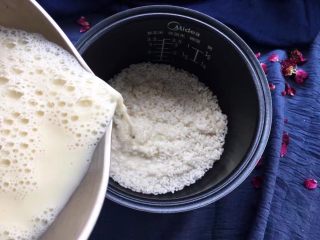 10、解渴消暑豆浆粥,泡水的大米清洗几次后,沥干水分,倒入适量豆浆。