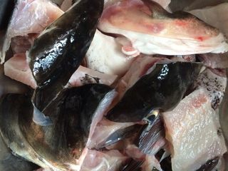 2、酸菜鱼,清洗后,把水滤干。