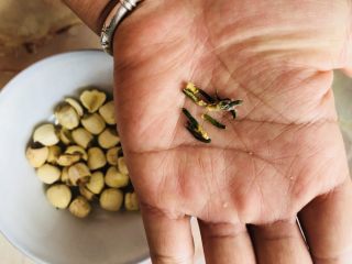 7、红枣黑米粥,莲子去芯，莲子芯可以去火，但是比较苦，去掉让粥的味道更清甜。