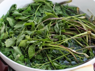 5、猪肉山芹馅蒸饺,山芹洗净后放入开水中焯烫变软