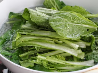 2、鲜虾小白菜豆腐汤,然后放入开水中烫软，时间不必太长，一两分钟即可，捞出过凉水挤干水分备用