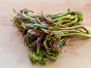 1、香椿拌豆腐,香椿摘去老根清洗干净