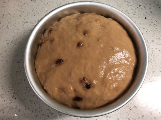 7、蔓越莓红糖发糕,发至模具9分满。