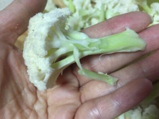 3、蚂蚁肉沫焗香辣花菜,先取一煮锅加入半锅水准备焯花菜的水 ，同时把花菜分小朵，径部分去皮（这点随意，可不去皮）后洗净沥水