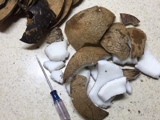 5、沙参玉竹椰子鸡汤(附开椰子方法),只要找对地方撬开其实并不难。