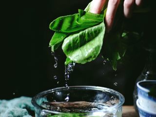 2、酸辣暖胃的 辣白菜豆腐锅,将小油菜和豆芽菜清洗干净