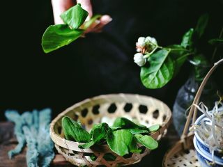 3、酸辣暖胃的 辣白菜豆腐锅,择菜，去掉油菜不好的叶子，掰成一片片的备用
