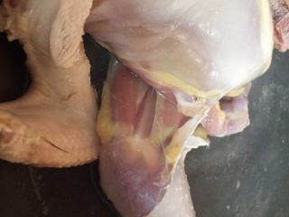 1、一碗汤 滋补鸡纵菌老鸡汤,老鸡清洗干净，切去部分皮，用开水烫一下