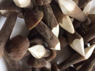 5、一碗汤 滋补鸡纵菌老鸡汤,这就是新鲜的鸡纵菌.