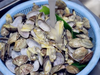 3、花蛤粥,捞出花蛤，用流水再冲洗一遍，让泥沙去得更干净。这一步之后，花蛤可以直接拿去炒，也可以择出花蛤肉来做粥。