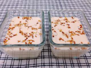 10、牛奶花胶冻-吃了这款甜品,人比花娇,上面撒上少许干桂花做装饰