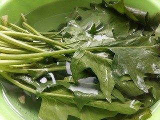 7、虾丸菠菜汤,菠菜洗净，用盐水浸泡20分钟。