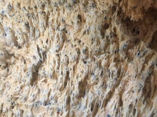 8、三麦低脂代餐健康吐司,可以看到酵母虽然很活跃但由于筋度较低无法拉丝。