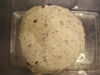 5、红枣面包,取出面团，进行一次发酵28度