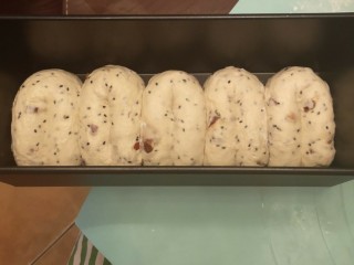 12、红枣面包,五个一组放入土司盒