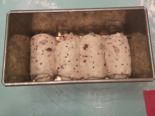 15、红枣面包,四个一组放入土司盒，进行二次发酵，38度