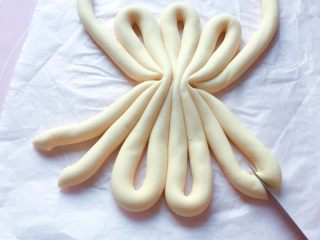 6、漂亮花馍,如图：把一头的边上两条切开，中间两条不切。