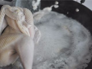 6、砂锅炖鸡,烧开后，撇去浮默默，将鸡捞出来