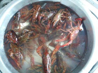 1、≈湖北油焖大虾≈,小龙虾买回来后,用清水养一小时,中间多换几次水
