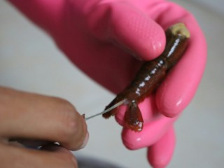 3、≈湖北油焖大虾≈,然后从尾部,中间的那片虾尾左右扭动一下,抽出虾线