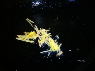 11、多彩龙利鱼丁,油中放姜丝