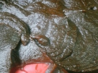 11、自制姜枣膏,继续熬