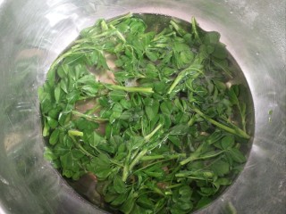 6、苜蓿米饭塔,水烧开，苜蓿焯水。