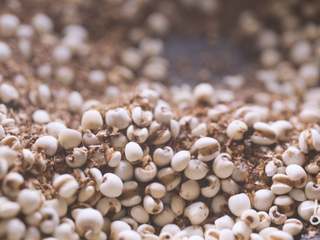 4、【八珍米昔】懒人的养生早餐，让你每天多睡半小时,薏仁、麦芽用麦麸炒制，以麦麸100克，炒制药材1000克的比例。麦麸入锅，起浓烟后投入食材，炒至苡仁微微发黄，香味飘出即可用同样的方法将麦芽炒至焦黄后，淋少许冷水使之出现焦香味，盛出晒干；