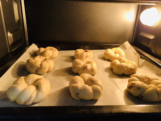 24、红枣面包,放烤箱发酵；