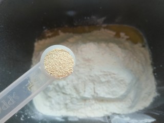 9、红枣面包,加入3克酵母