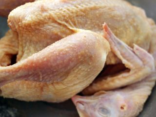 3、盐焗鸡,把盐焗鸡粉均匀地涂抹在鸡的各个部位